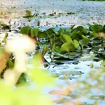 Apartamento Bornholm Majalis Rønne