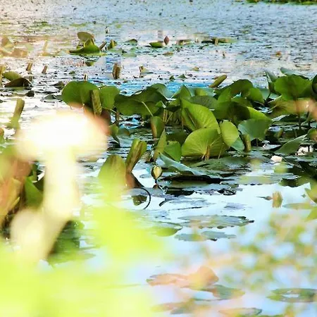 Apartmán Bornholm Majalis Rønne