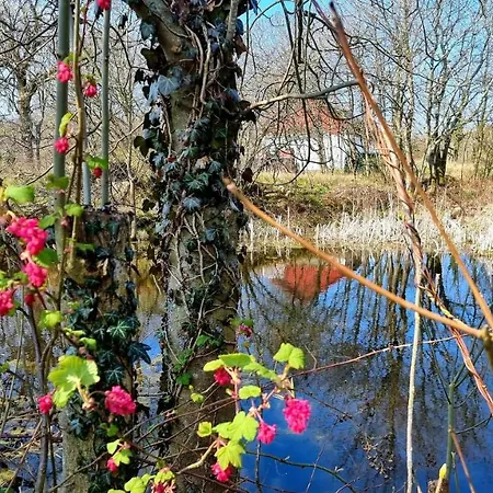 Bornholm Majalis Apartmán