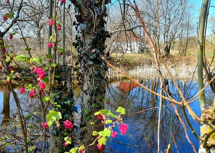 Bornholm Majalis Appartamento